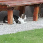 奥索农场假期酒店